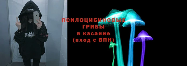 трава Абаза