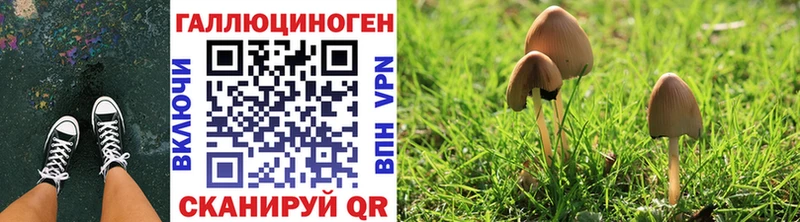Галлюциногенные грибы Cubensis  как найти закладки  Прохладный 